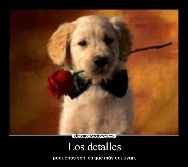 carteles love you desmotivaciones