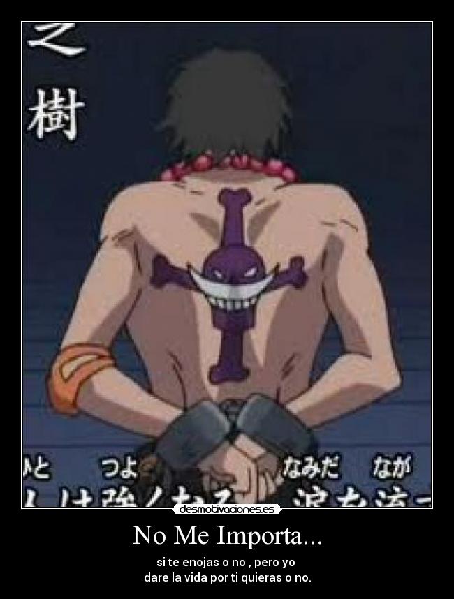 No Me Importa... -