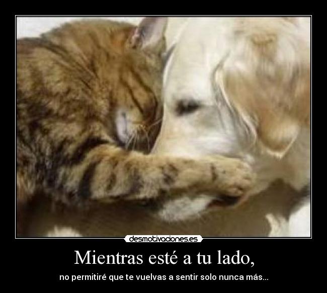 Mientras esté a tu lado, - 