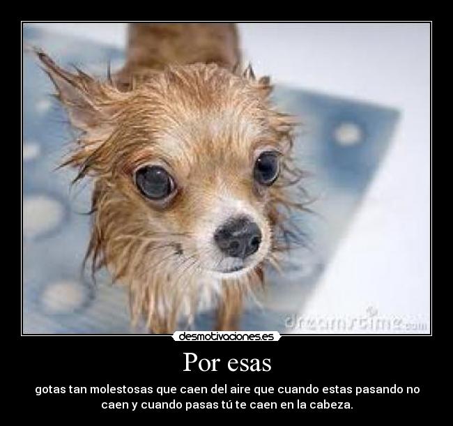 Por esas - gotas tan molestosas que caen del aire que cuando estas pasando no
caen y cuando pasas tú te caen en la cabeza.