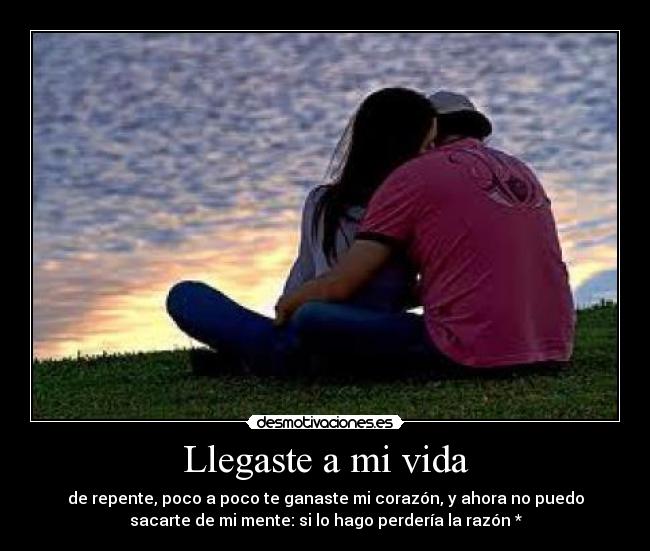 Llegaste a mi vida Desmotivaciones Llegaste a mi vida Desmotivaciones