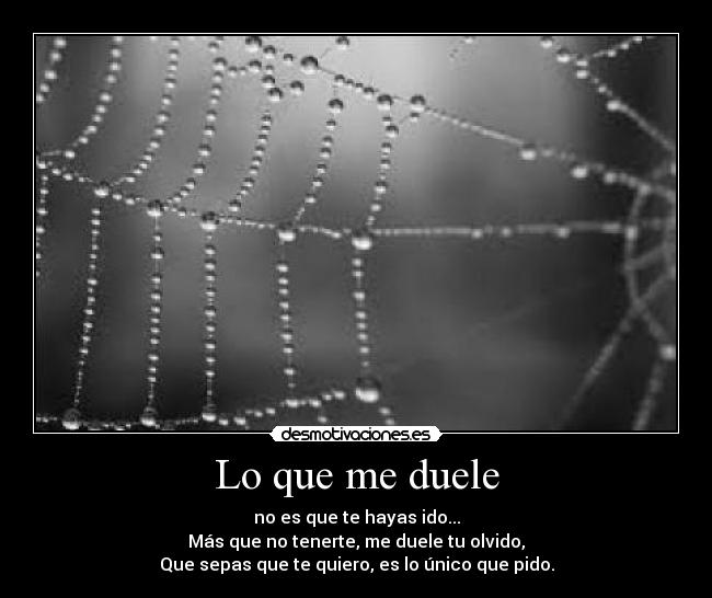 Lo que me duele - 