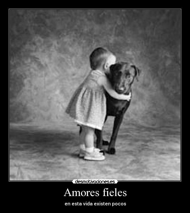 Amores fieles - en esta vida existen pocos