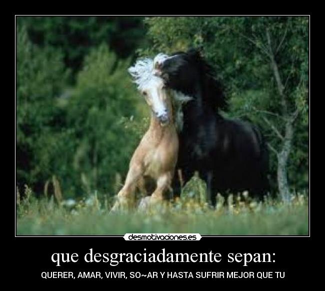 carteles boombadoo desmotivaciones