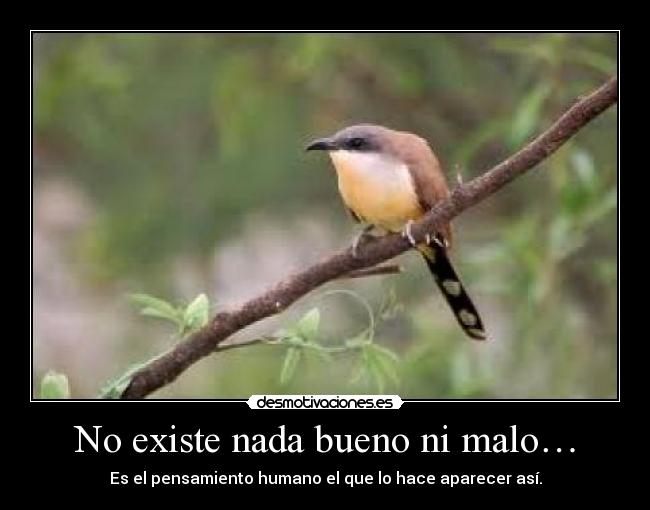 No existe nada bueno ni malo… -