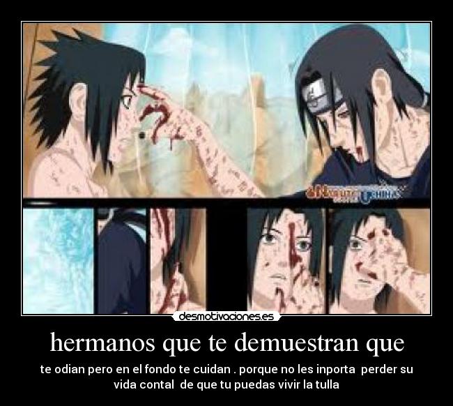 carteles hermanos desmotivaciones