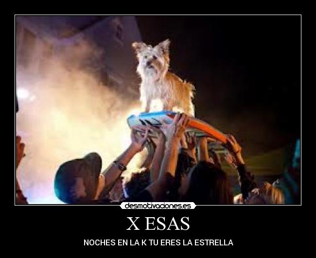 X ESAS - NOCHES EN LA K TU ERES LA ESTRELLA