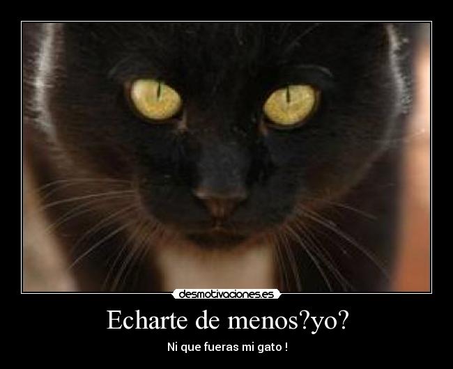 carteles los animales fallan desmotivaciones