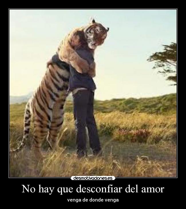 No hay que desconfiar del amor - 