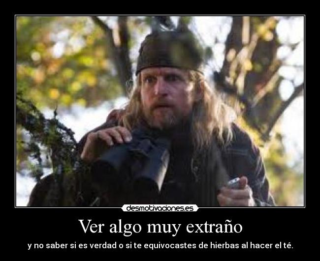 Ver algo muy extraño - y no saber si es verdad o si te equivocastes de hierbas al hacer el té.