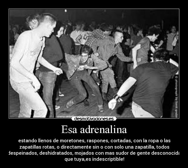Esa adrenalina - estando llenos de moretones, raspones, cortadas, con la ropa o las
zapatillas rotas, o directamente sin o con solo una zapatilla, todos
despeinados, deshidratados, mojados con mas sudor de gente desconocida
que tuya,es indescriptible!