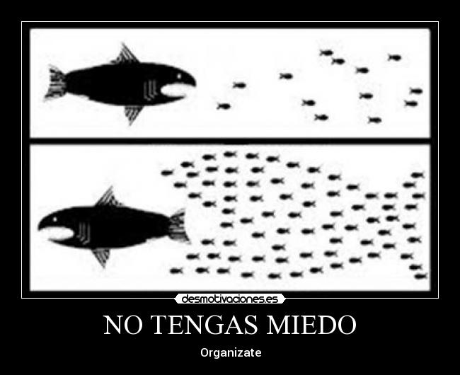 NO TENGAS MIEDO - Organizate
