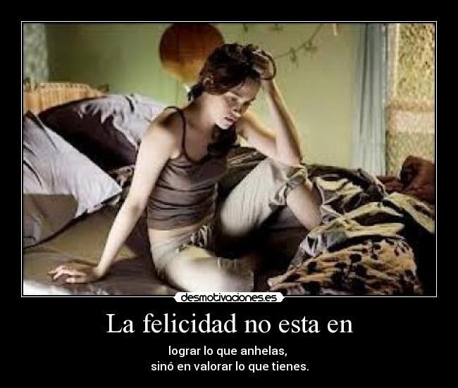 La felicidad no esta en -
