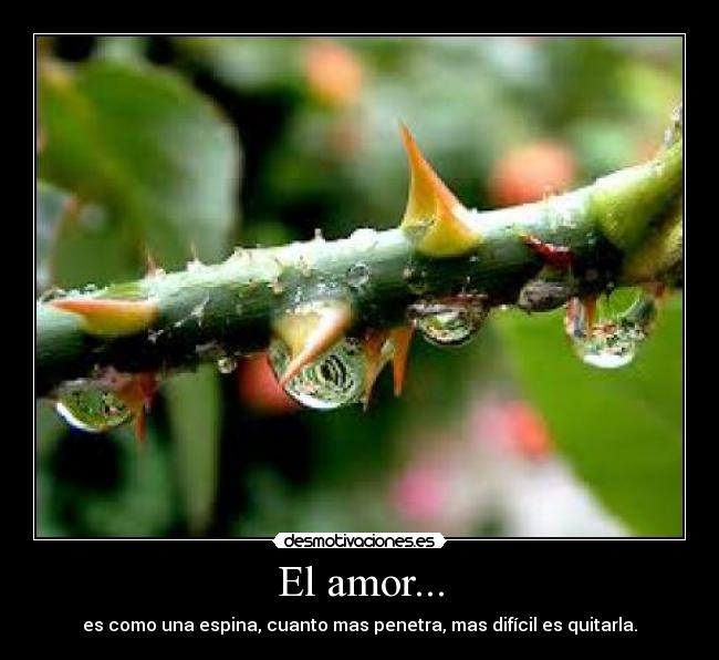 El amor... -