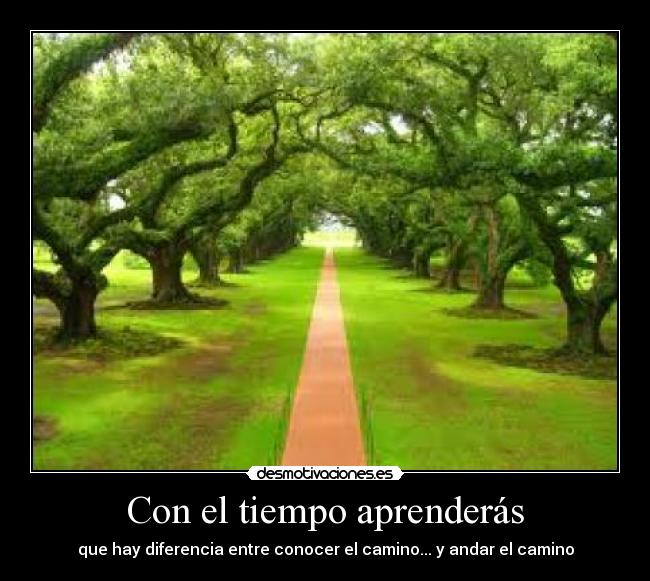 carteles danibetico1705 desmotivaciones