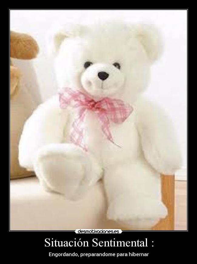 Situación Sentimental : - Engordando, preparandome para hibernar