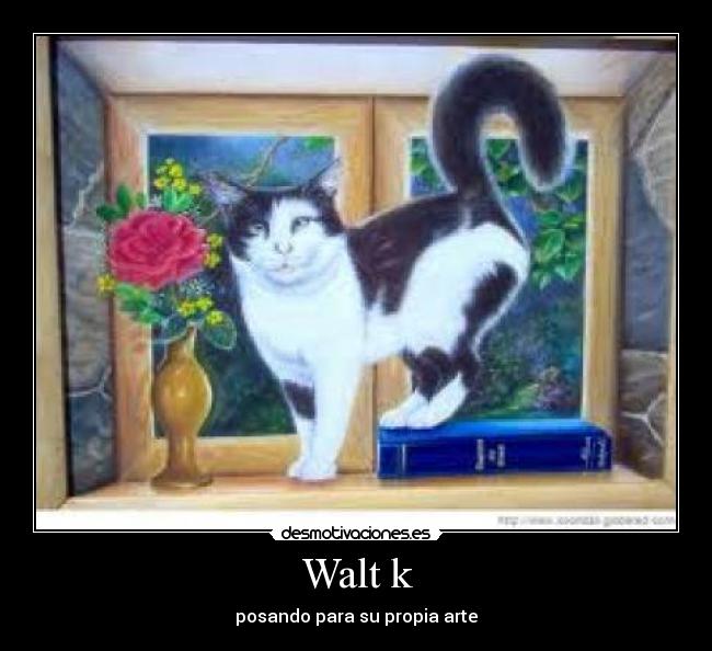 Walt k -