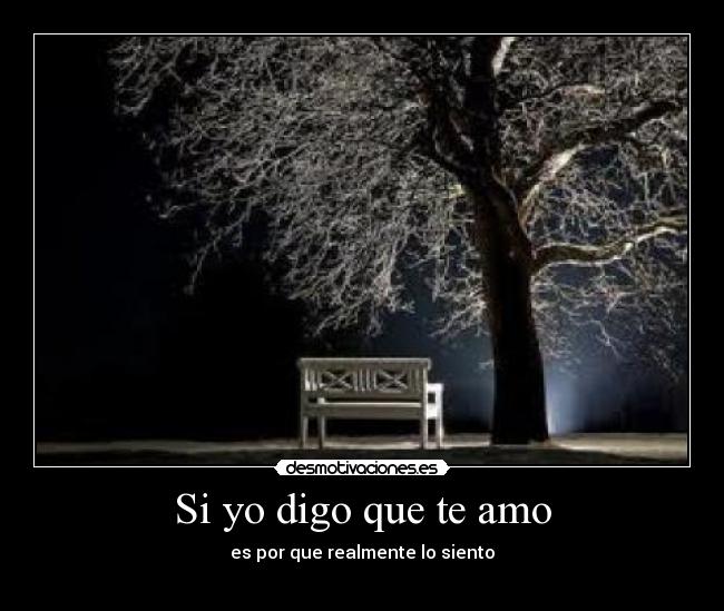 Si yo digo que te amo -