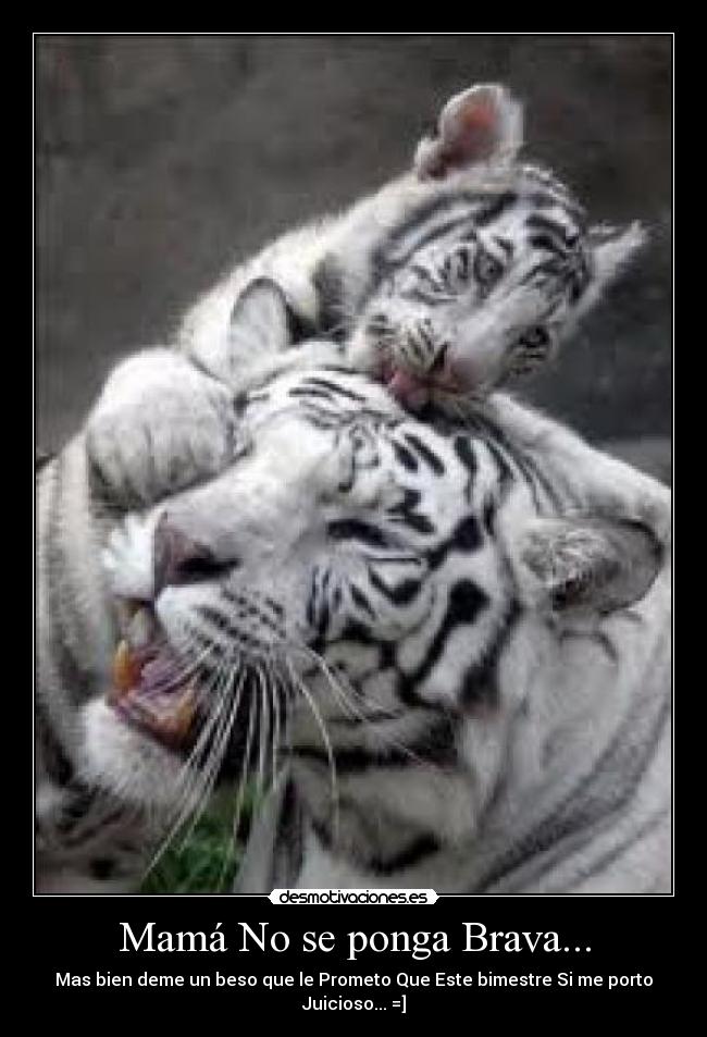 carteles sergio llanos desmotivaciones