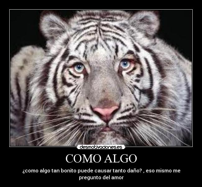 COMO ALGO - 