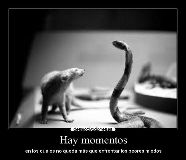 Hay momentos - en los cuales no queda más que enfrentar los peores miedos