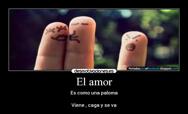 El amor - 