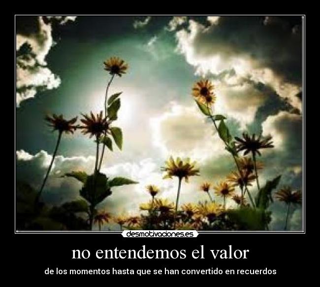 no entendemos el valor - de los momentos hasta que se han convertido en recuerdos