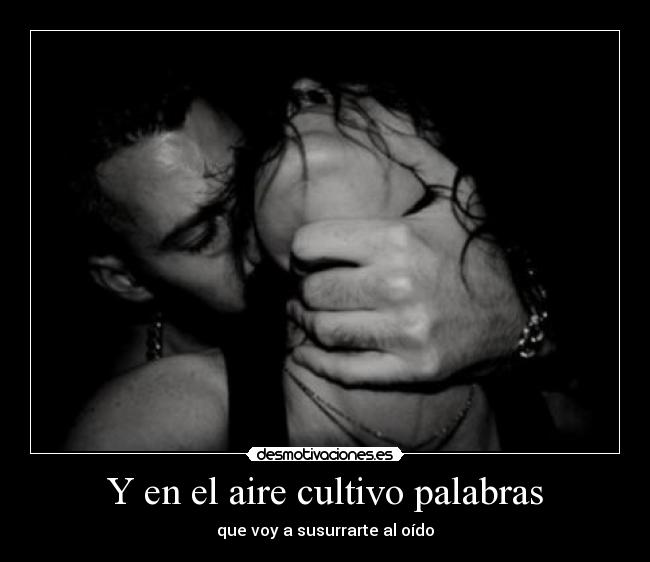 Y en el aire cultivo palabras - que voy a susurrarte al oído