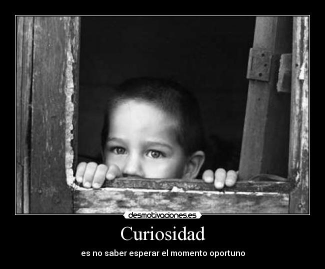 Curiosidad - 