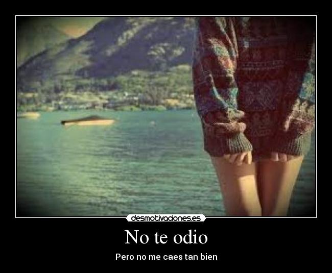 carteles odio vale pena placer desmotivaciones