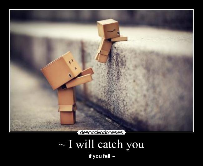 ~ I will catch you - if you fall ~