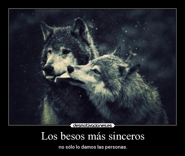 Los besos más sinceros - no sólo lo damos las personas.