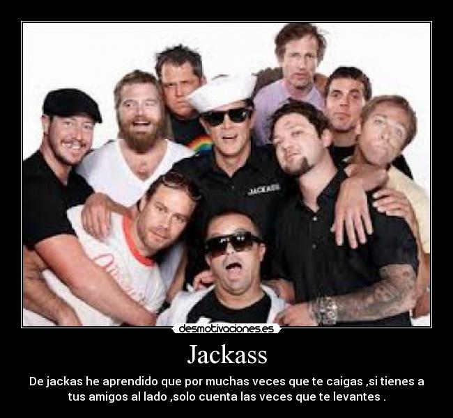 Jackass -
