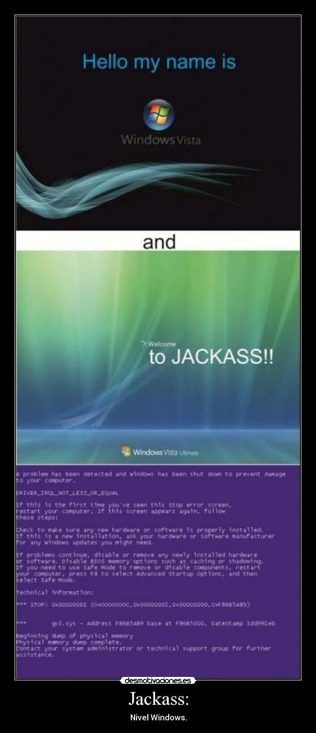 Jackass: -