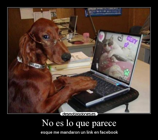 No es lo que parece - 