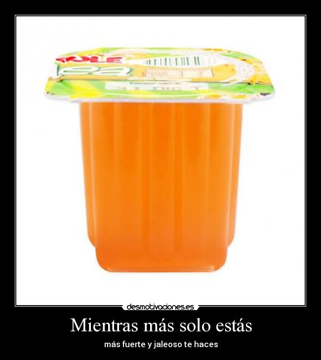 carteles jalea soledad desmotivaciones