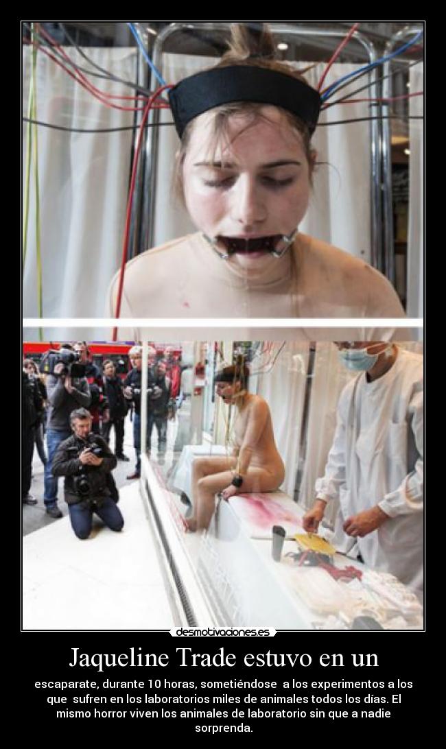 Jaqueline Trade estuvo en un - escaparate, durante 10 horas, sometiéndose a los experimentos a los
que sufren en los laboratorios miles de animales todos los días. El
mismo horror viven los animales de laboratorio sin que a nadie
sorprenda.