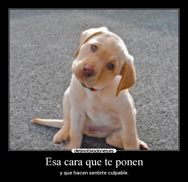 carteles jajaja desmotivaciones