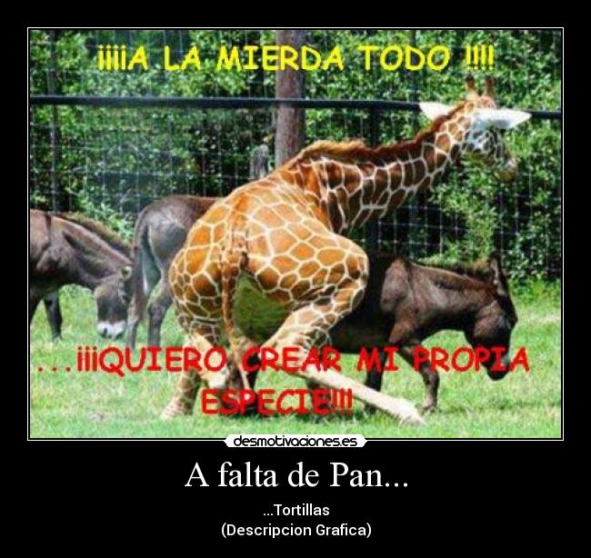 A falta de Pan... - 