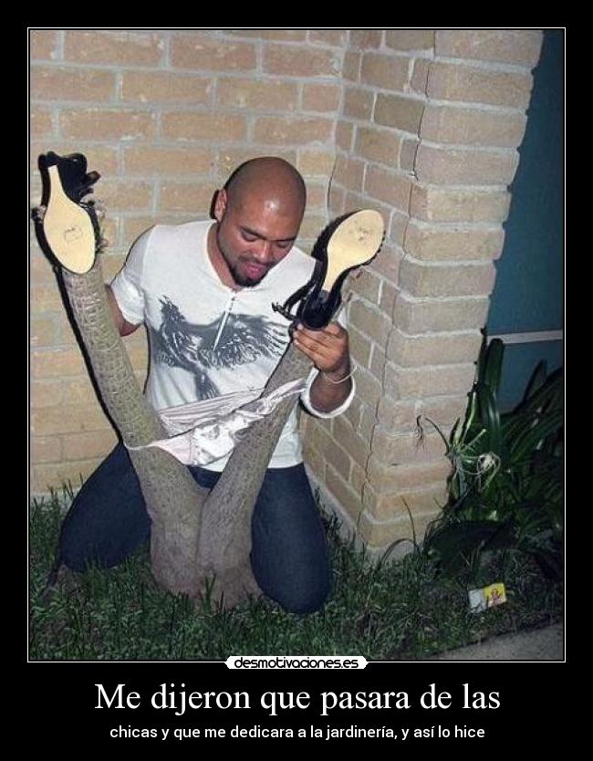 Me dijeron que pasara de las -