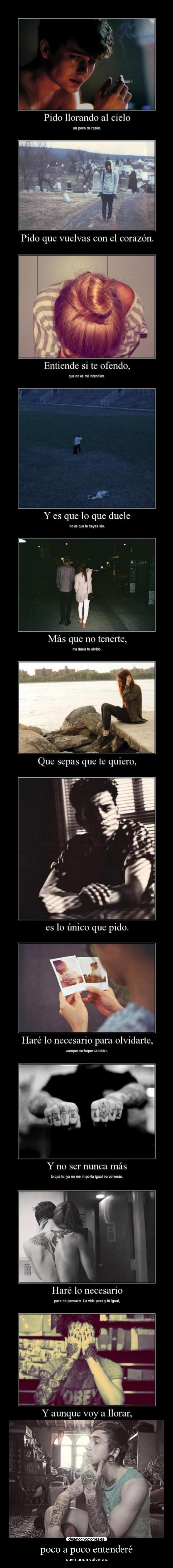 poco a poco entenderé - que nunca volverás.