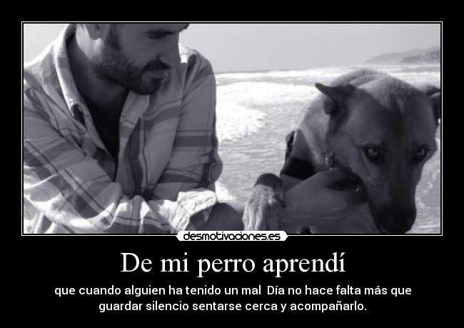 De mi perro aprendí - 