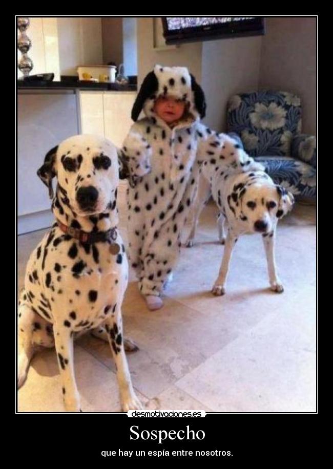 carteles sospecho desmotivaciones