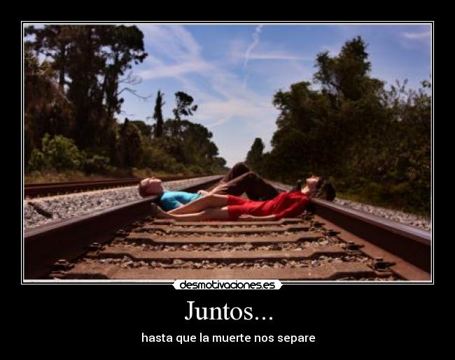 carteles zunzu desmotivaciones