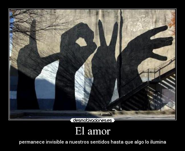 El amor -