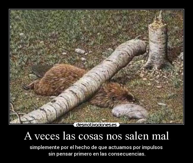 A veces las cosas nos salen mal - 