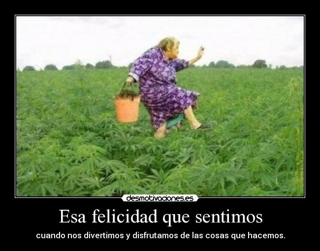 Esa felicidad que sentimos - 
