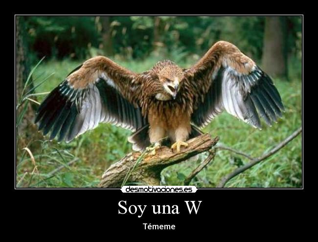 Soy una W - Témeme