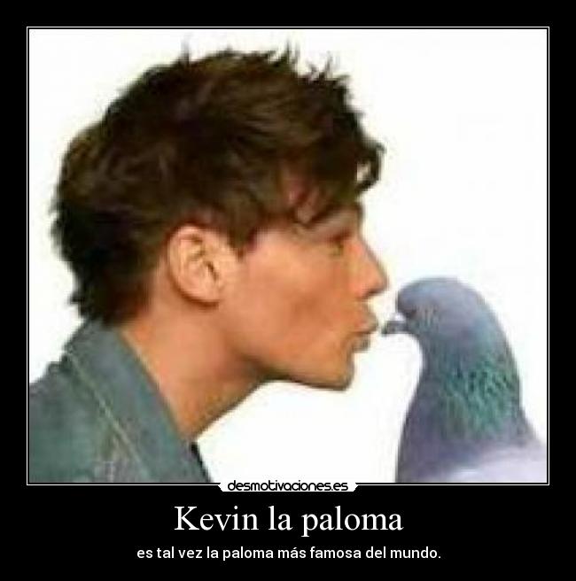 Kevin la paloma - 