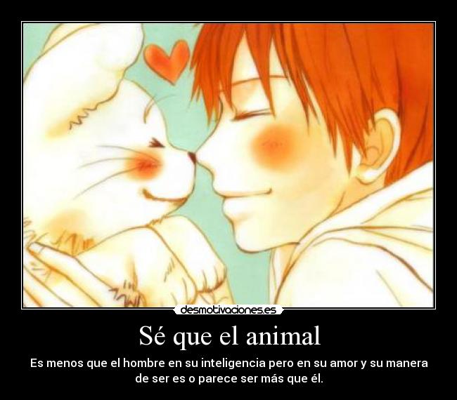 Sé que el animal - Es menos que el hombre en su inteligencia pero en su amor y su manera
de ser es o parece ser más que él.